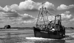 ip攻击器网页版ddos