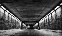 高级会员开通的网络攻击软件