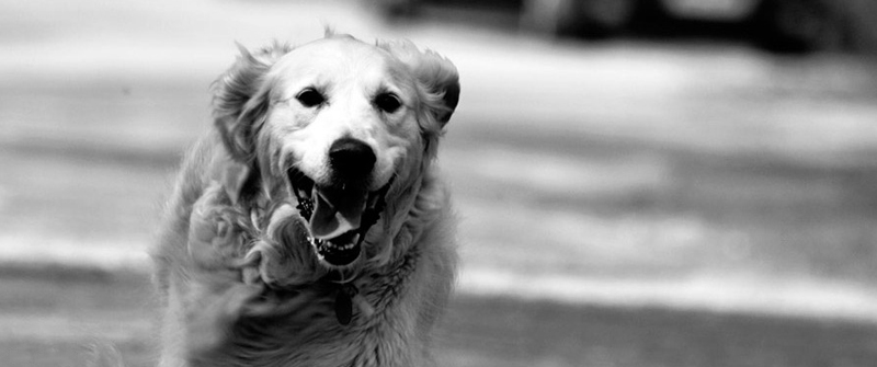 ddos流量攻击购买